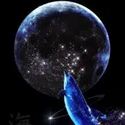 るる　平日のみ郵便メル便発送