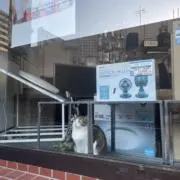 店長の画像