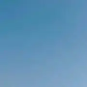 たけぬんの画像
