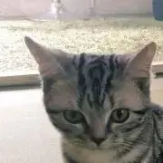 (　ˆ̑‵̮ˆ̑　)‼︎の画像