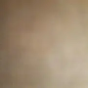 ❉早い者勝ち❉の画像