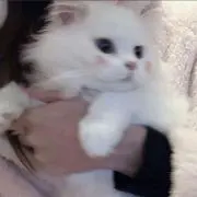 uta❤︎の画像