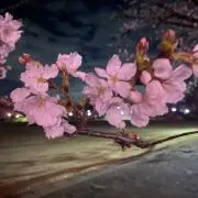 ななちゃんの画像