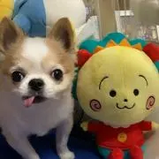 あまおう