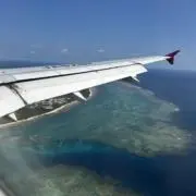 いちご