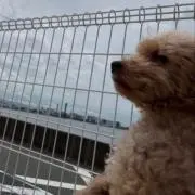 mmy77の画像