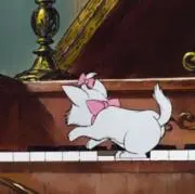 ゆの画像