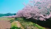 しし(プロフ閲覧お願いします)の画像