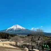 花子の画像