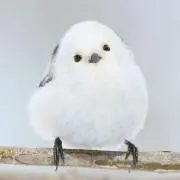 【値下げ不可】aの画像