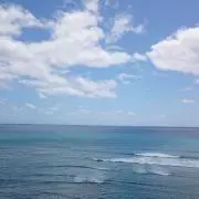 ikf_2128【引越しにつき断捨離中】の画像