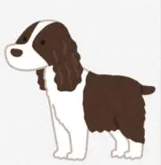わんこの画像