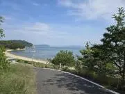 ヤキイモの画像