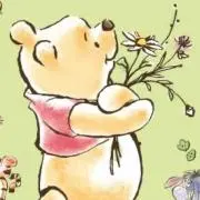 はちこ