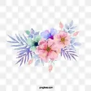 kitoの画像