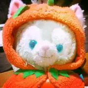 あずにゃんの画像