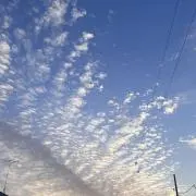 ゆる