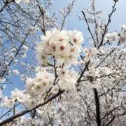 m♡の画像