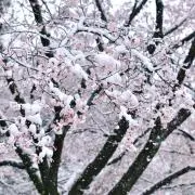 ミニ販売員の画像