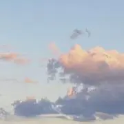 kanaの画像