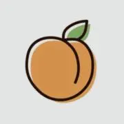 あんずの画像