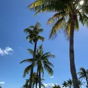 miiiの画像