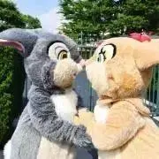 きなの画像