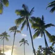 SAILの画像