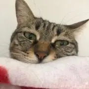もよもと勇者