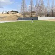 むたろうの画像