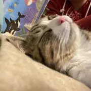 そら