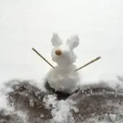 ともトンの画像