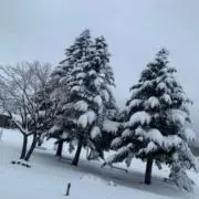 みと