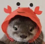 おきの画像