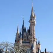 mintの画像