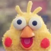 とりの画像