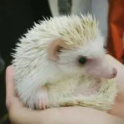 もも ※プロフ必読