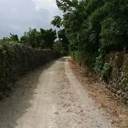 TH41