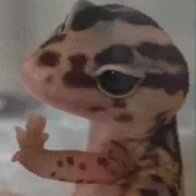 加減