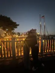 蘭の画像