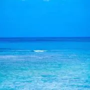 nnの画像