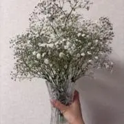 ✨　コメント値下げ中　即日発送　〜✨の画像