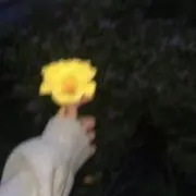 エルの画像