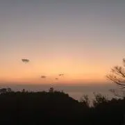 B.R.Pの画像