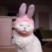 ばさしの画像