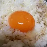 まめちゃん