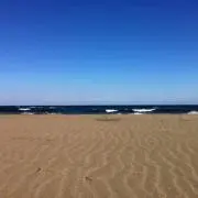アサヒデ