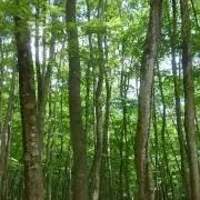 じゅんの画像