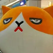 フテの画像