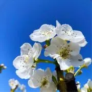 クロキ【7月22日〜出品お休みします】の画像